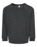 Toddler Sponge Fleece Raglan Crewneck Sweatshirt | 3901T