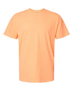 Camiseta Unisex Teñida en Prenda de Peso Pesado | 1717