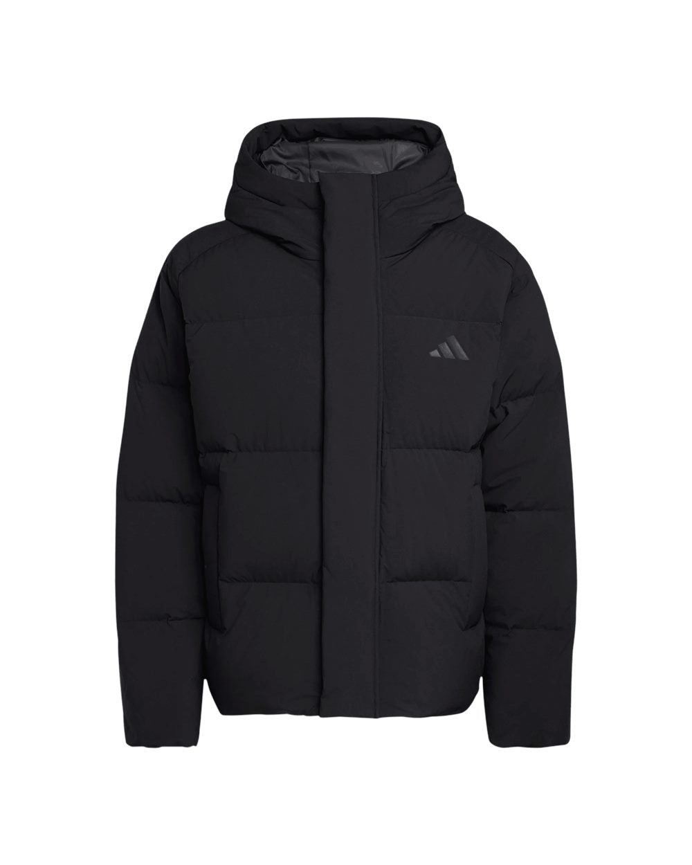 Men's Helonic Down Puffer Hooded Jacket | AT600