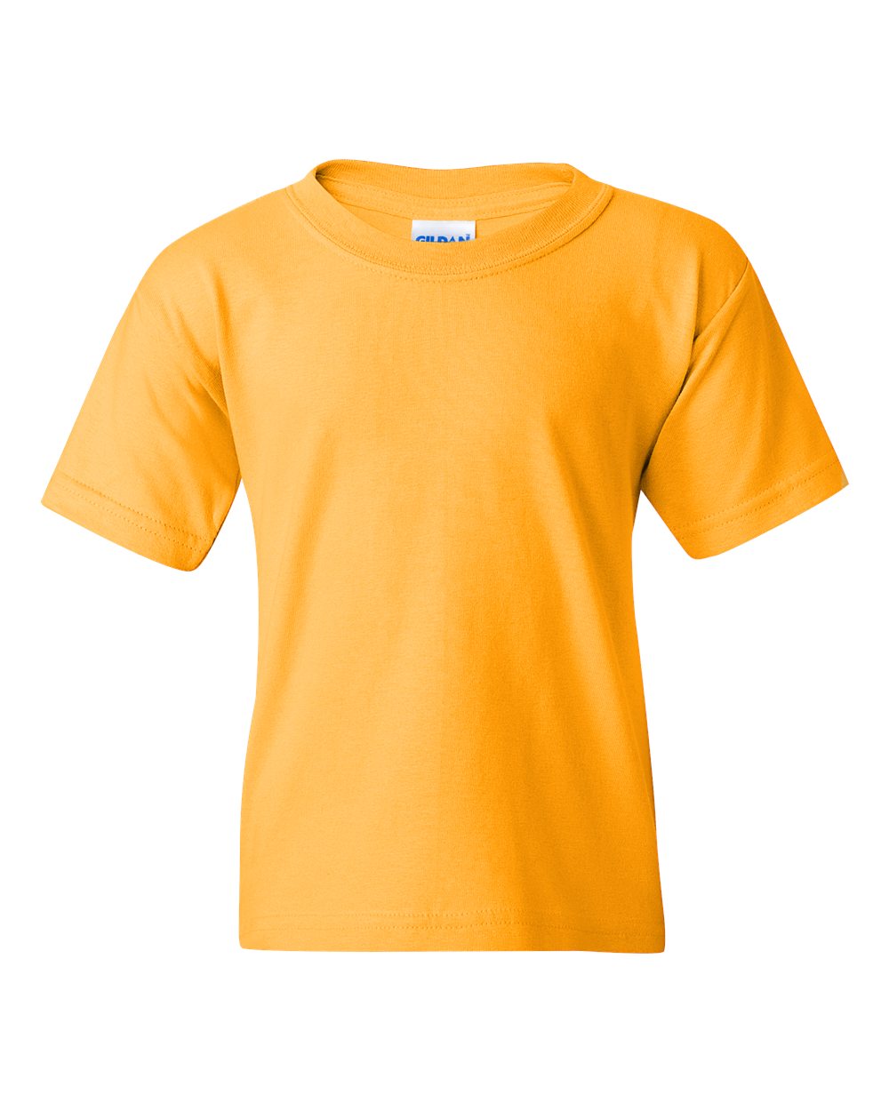 Youth Heavy Cotton™ T-Shirt | 5000B
