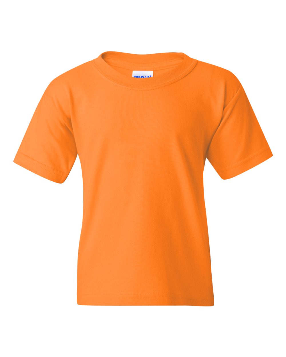 Youth Heavy Cotton™ T-Shirt | 5000B