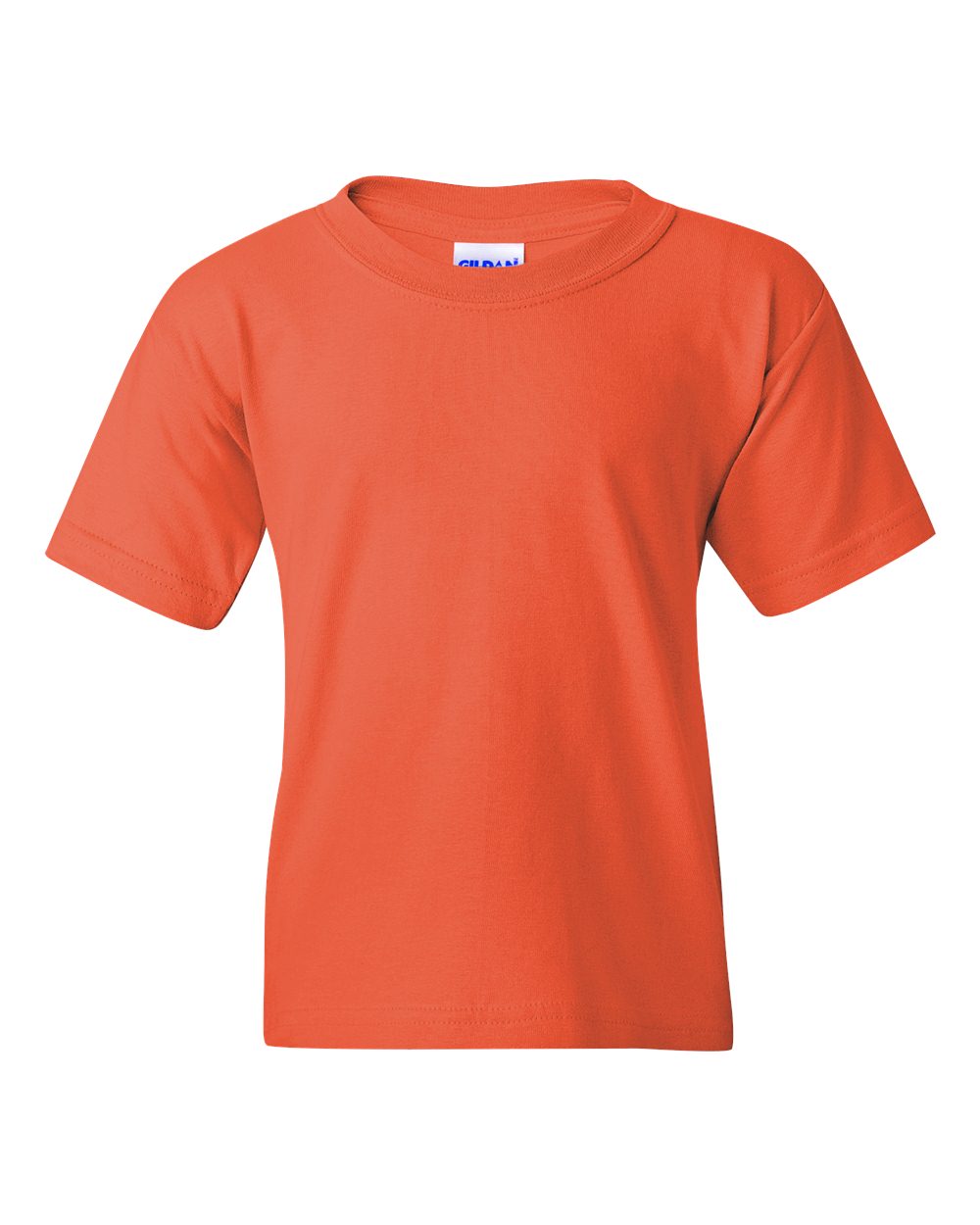 Youth Heavy Cotton™ T-Shirt | 5000B