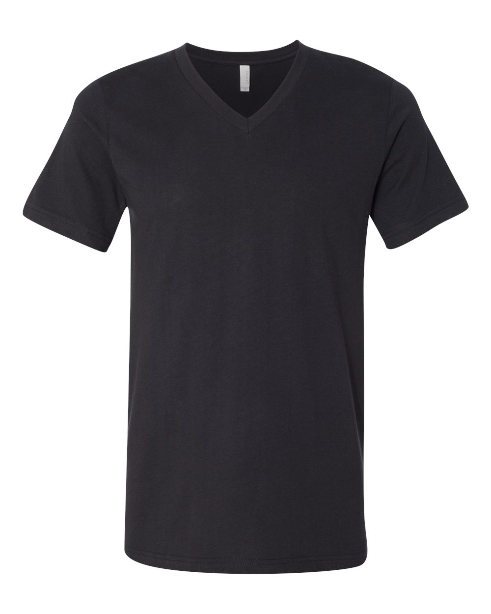 Unisex Jersey V-Neck Tee | 3005