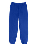 Youth EcoSmart® Sweatpants | P450