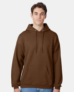 Unisex EcoSmart® Hooded Sweatshirt | P170