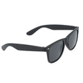 Sun Ray Recycled Sunglasses | SM-7924 image 1