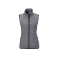 Women's EAGLECOVE Roots73 Down Vest | TM99557 image 1